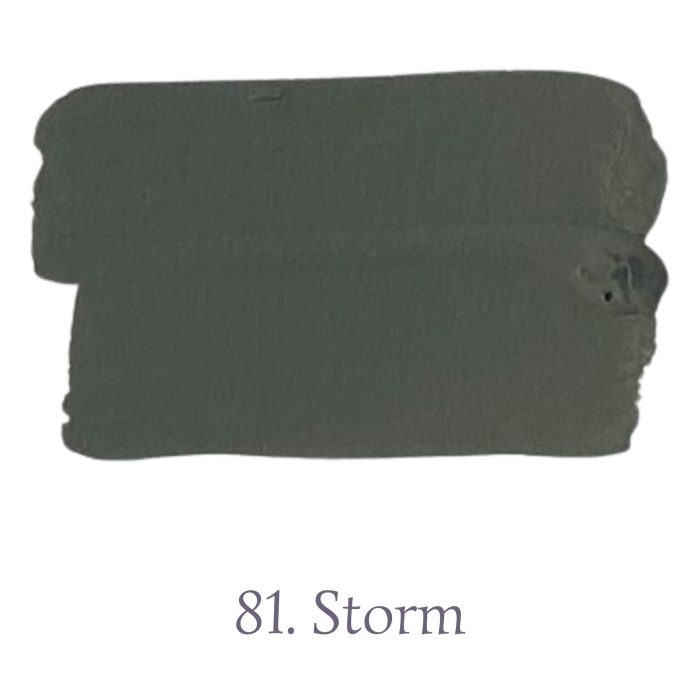 L'Authentique Farbe - Farbton 81. Storm